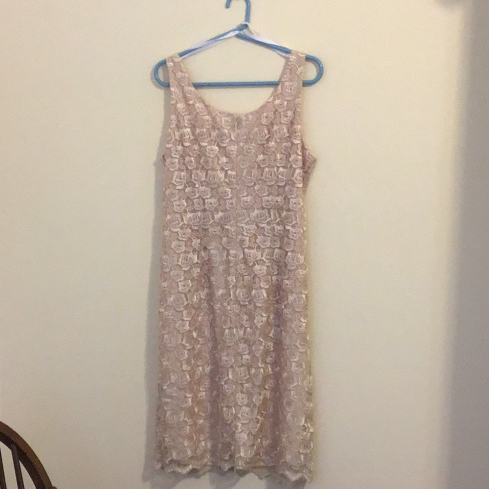 Donna Ricco - Picture 3 of 3